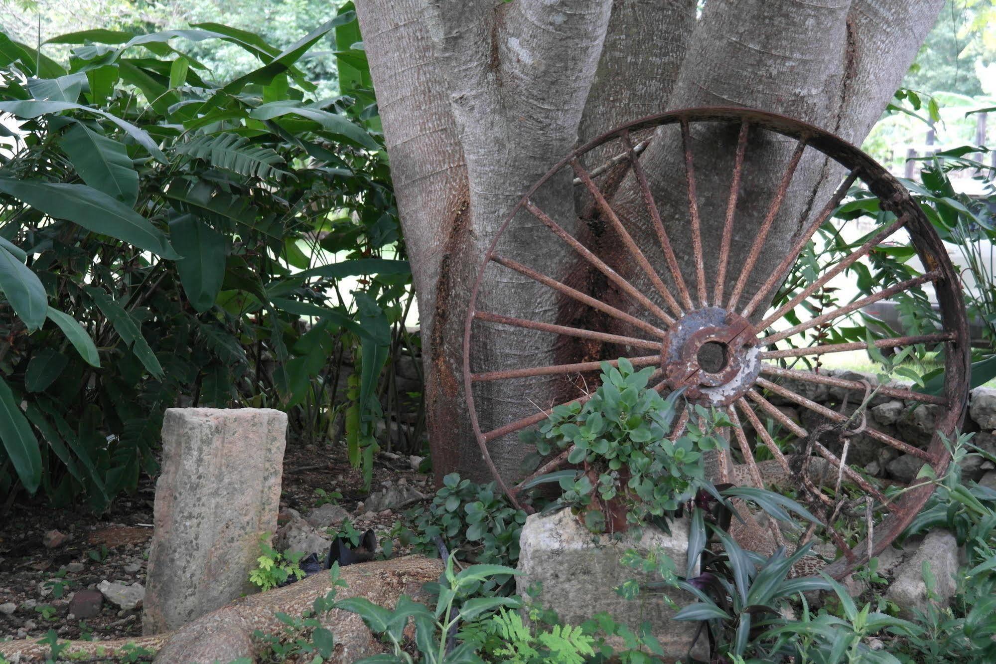 Hacienda Tepich 호텔 외부 사진